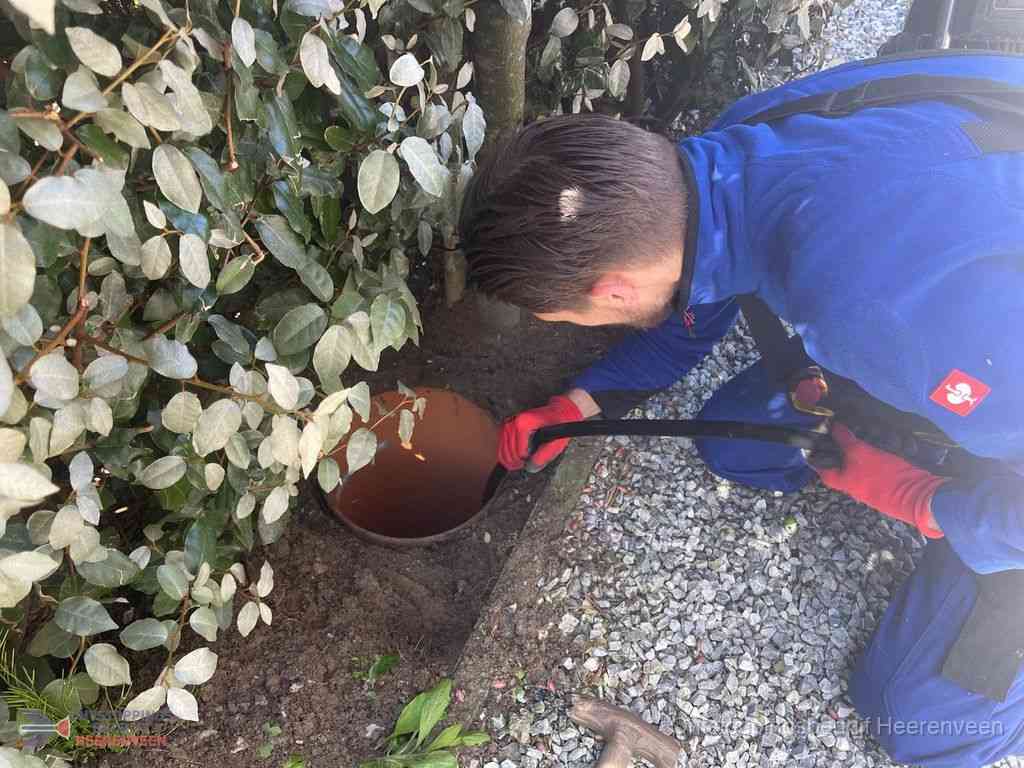 Rioolvliegjes Heerenveen Rioolvliegjes Heerenveen